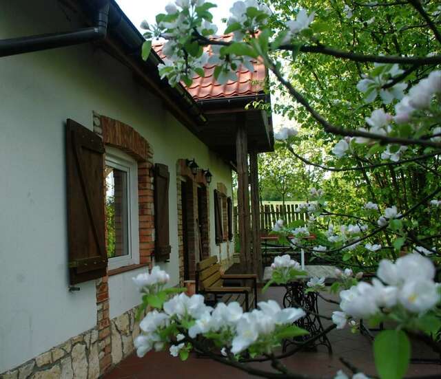 Фермерские дома Nasza Wioska Крочице-16