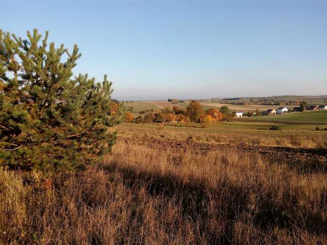 Фермерские дома Nasza Wioska Крочице-17